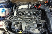 Škoda Octavia, 2015 - 44