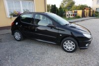 Peugeot 206, 2009 - 1